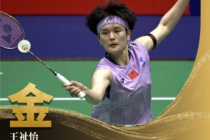 中国香港羽毛球公开赛：王祉怡2-0击败韩悦，夺得女单冠军