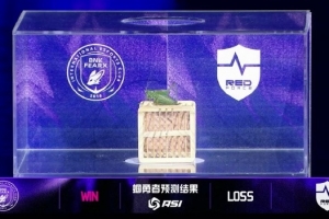 ASI赛事现场：蝈蝈预测BFX将战胜NS！